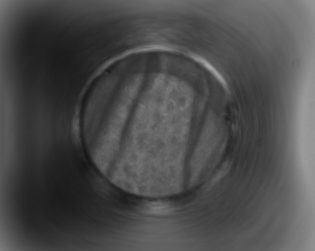 X0000087621460200705181304
