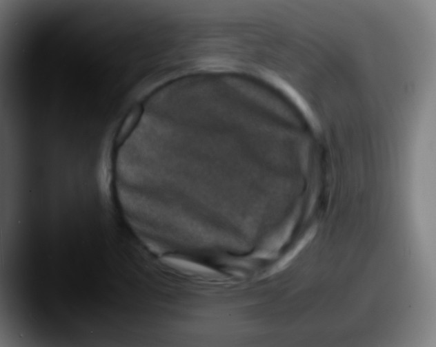 X0000087621461200705181304