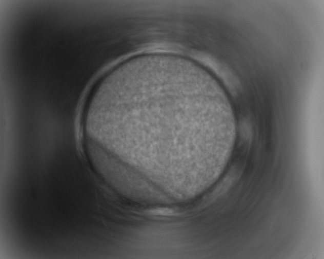X0000087621462200705181304