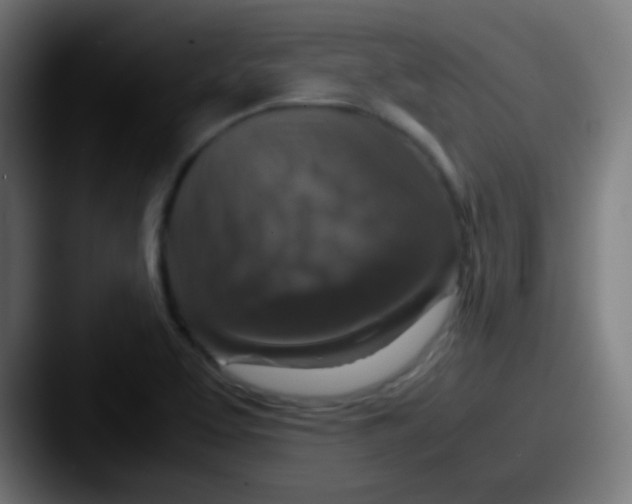 X0000087621463200705181304