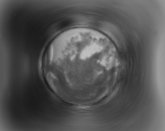 X0000087621466200705181304