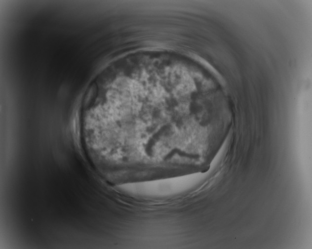 X0000087621467200705181304
