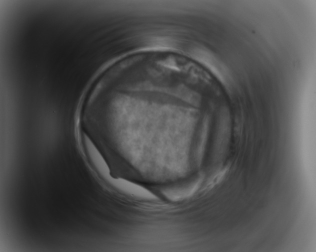 X0000087621468200705181304