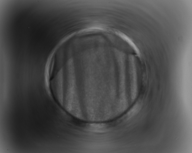 X0000087621469200705181304