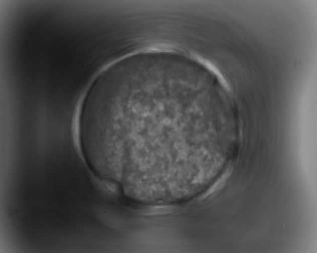 X0000087621471200705181304