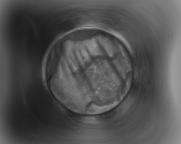 X0000087621472200705181304
