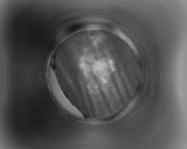 X0000087621473200705181304