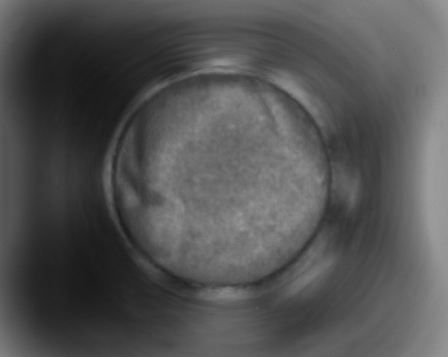 X0000087621474200705181304