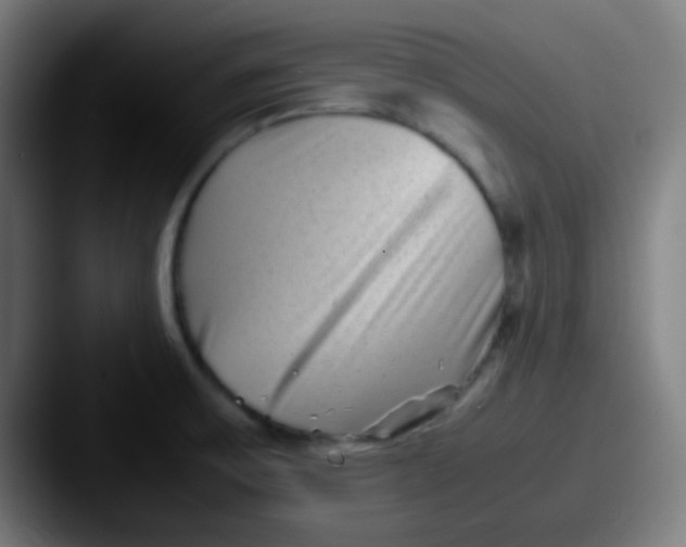 X0000087621475200705181304