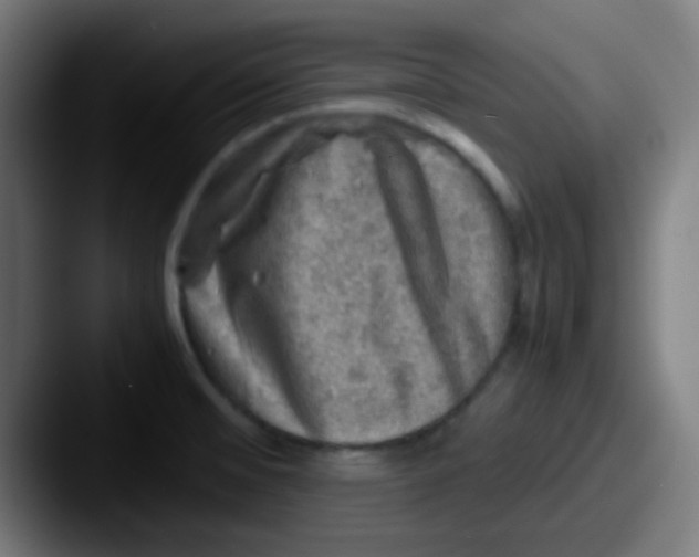 X0000087621476200705181304