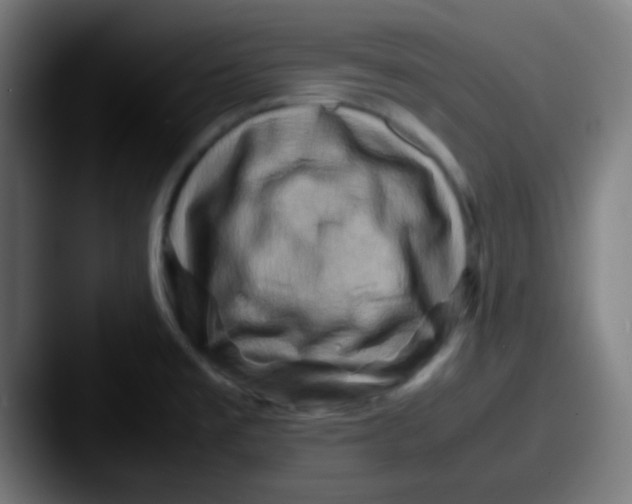 X0000087621477200705181304