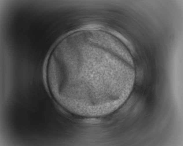 X0000087621478200705181304