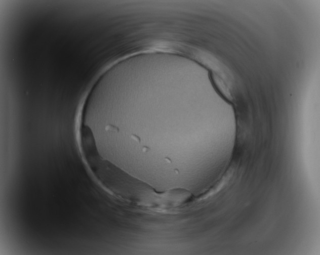 X0000087621479200705181304