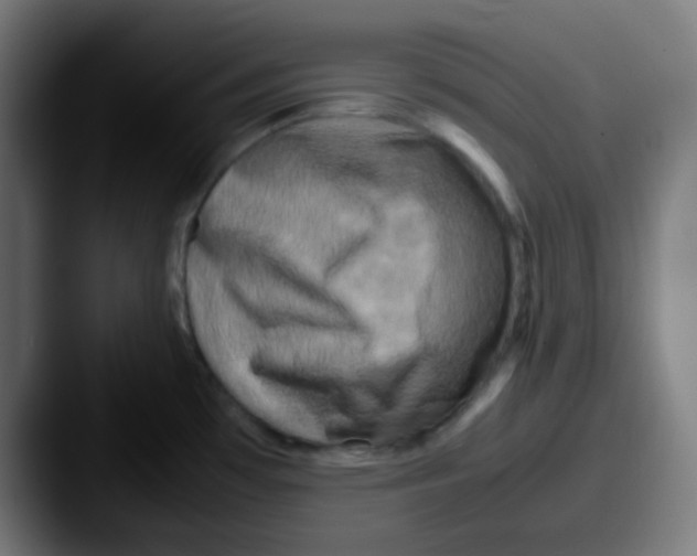 X0000087621481200705181304