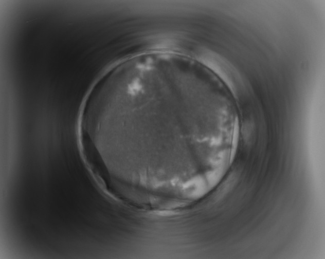 X0000087621482200705181304