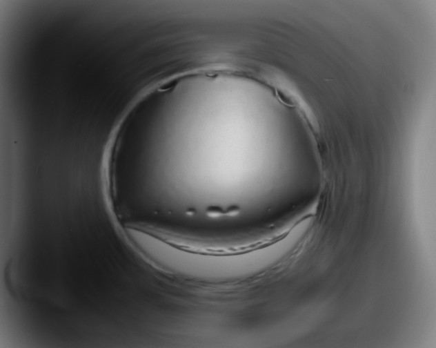 X0000087621483200705181304