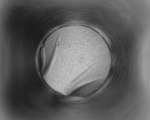 X0000087621486200705181304