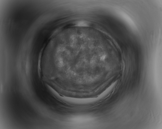 X0000087621487200705181304