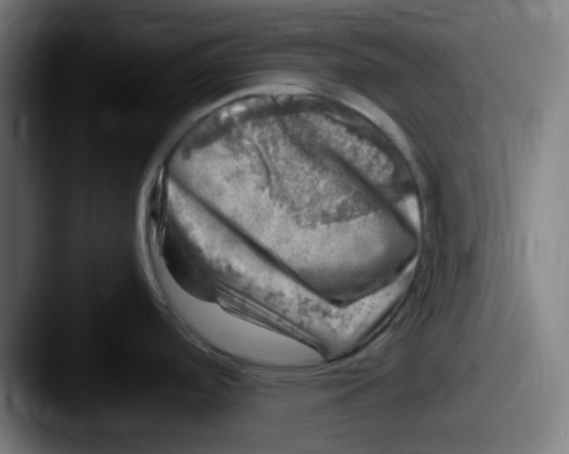 X0000087621488200705181304