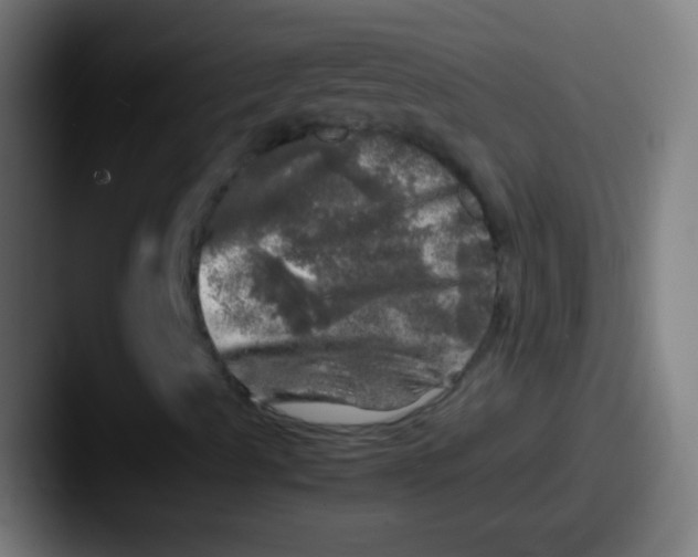 X0000087621489200705181303