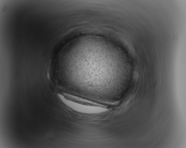 X0000087621490200705181303