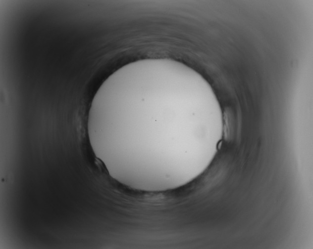 X0000087621491200705181303