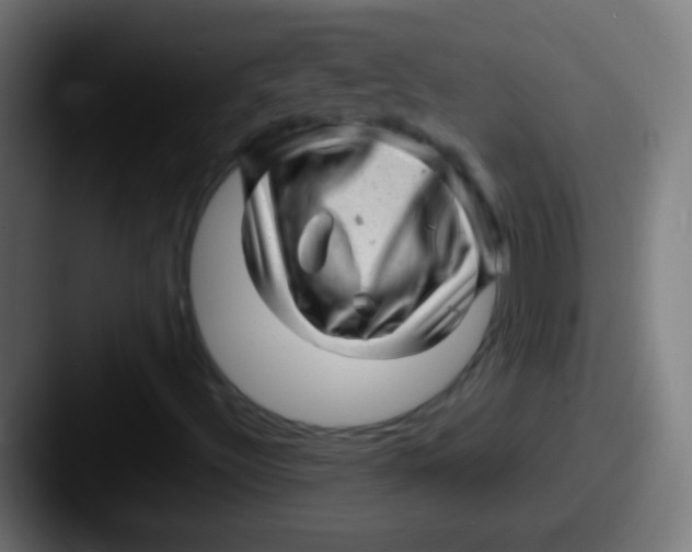 X0000087621492200705181303