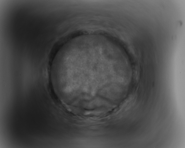 X0000087621493200705181303