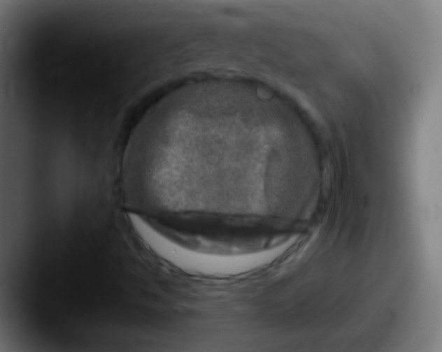 X0000087621494200705181303