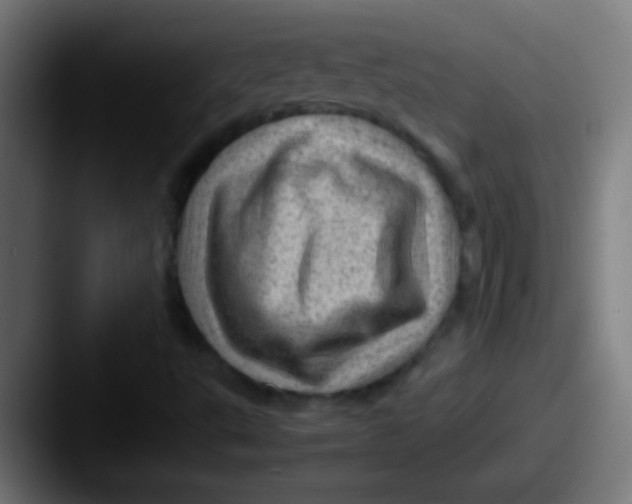 X0000087621495200705181303