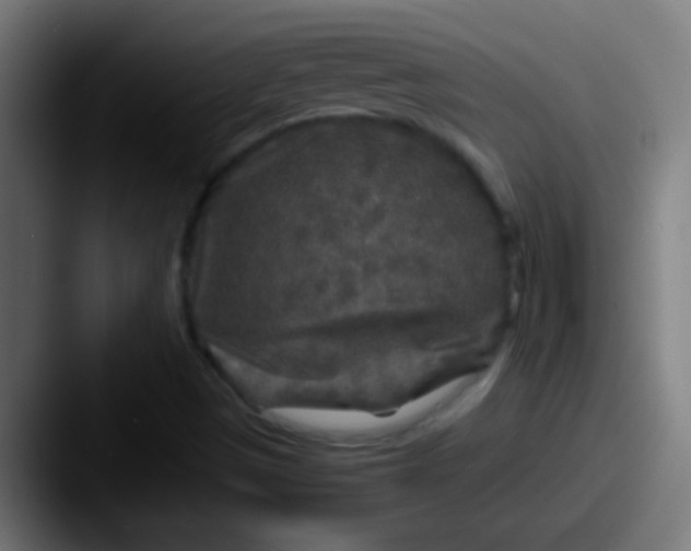 X0000087621497200705181303