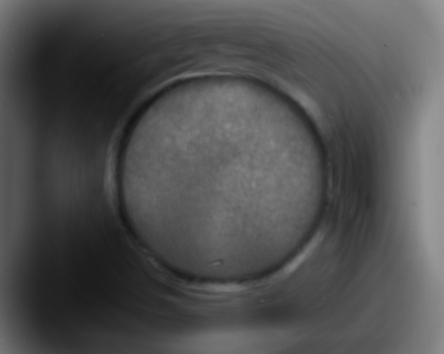 X0000087621498200705181303
