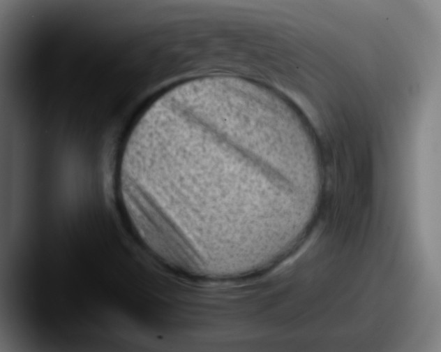 X0000087621499200705181303