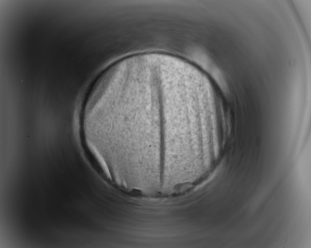 X0000087621500200705181303