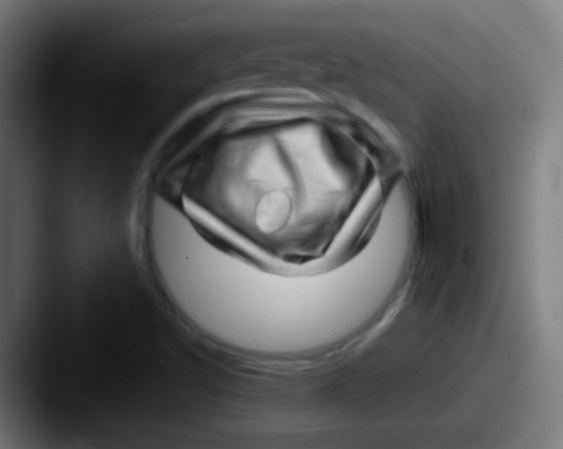 X0000087621502200705181303