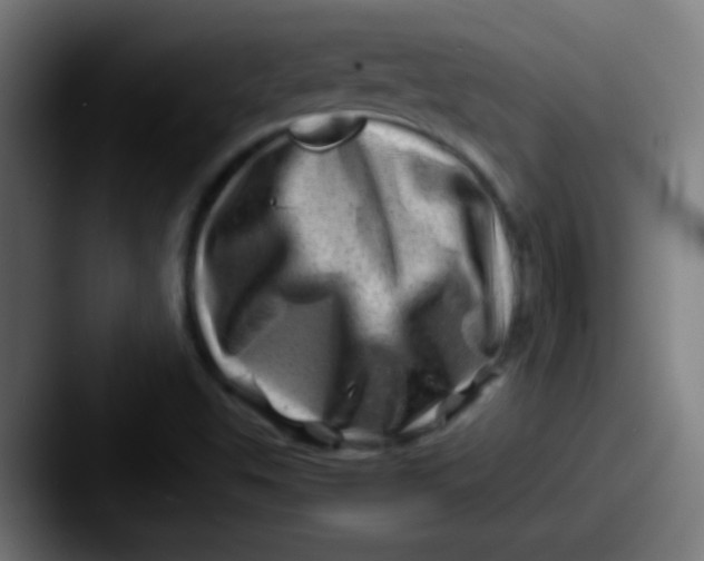 X0000087621503200705181304