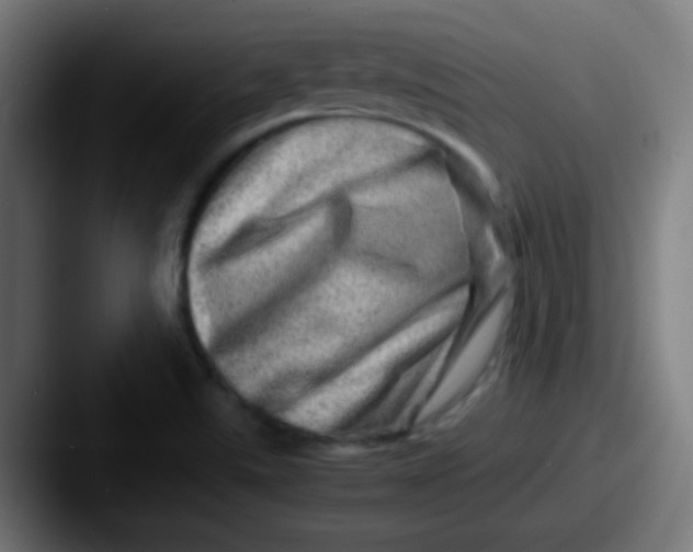 X0000087621507200705181304