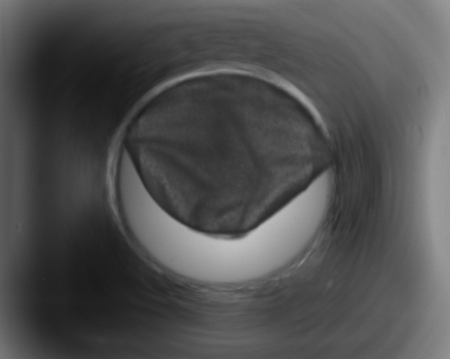 X0000087621508200705181304