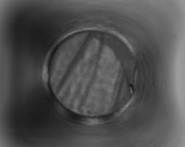 X0000087621509200705181304