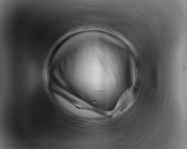 X0000087621510200705181304