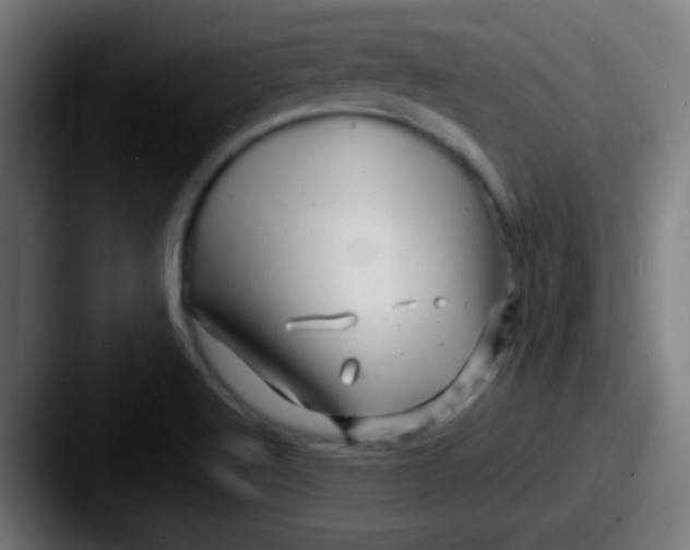 X0000087621512200705181304
