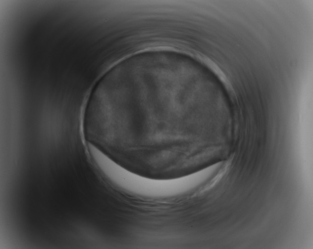 X0000087621513200705181304