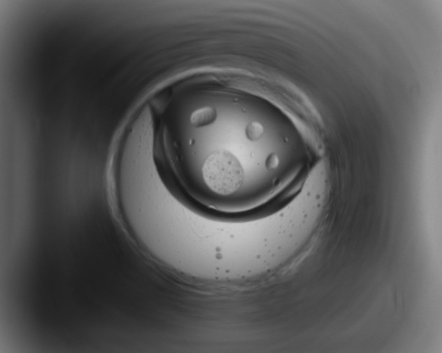 X0000087621514200705181304