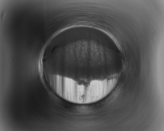 X0000087621515200705181304