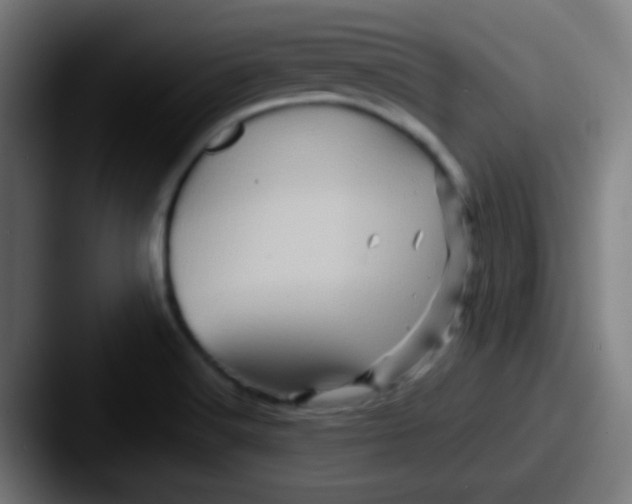 X0000087621516200705181304