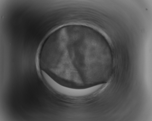 X0000087621517200705181304