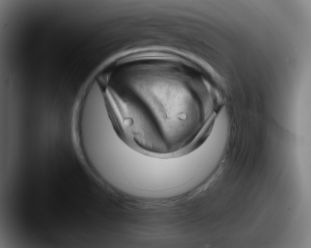 X0000087621518200705181304