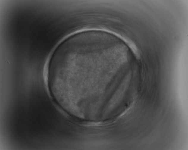 X0000087621519200705181304