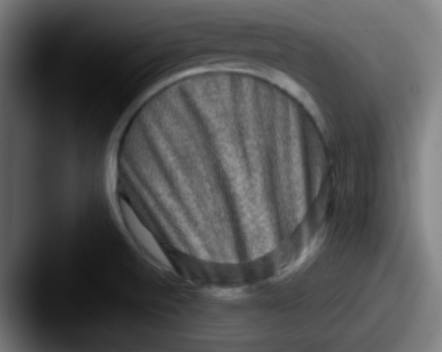 X0000087621520200705181304