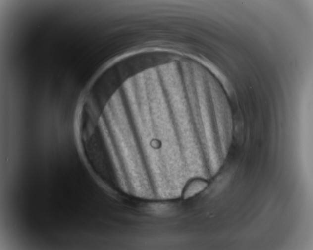 X0000087621523200705181304